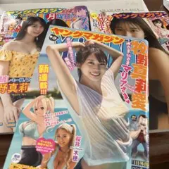 Item thumbnail for item 18b76d64-10d3-4445-8522-76b582a29193