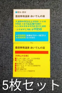 おいでんの湯 割引券 5枚セット クーポンのサムネイル