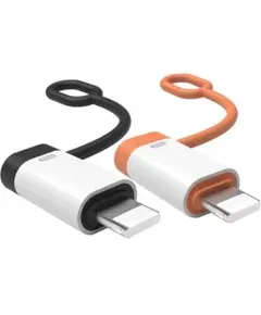 Type C to ライトニング 変換アダプタ OTG機能 (2個セット)