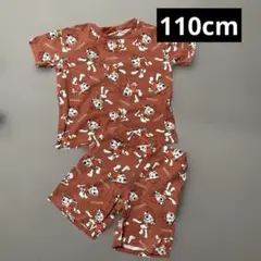 マーシャルセットアップ　110cm