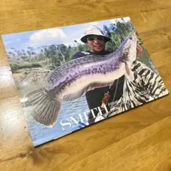 Item thumbnail for item ccbe3504-7a89-4753-a7b9-8d61058810de