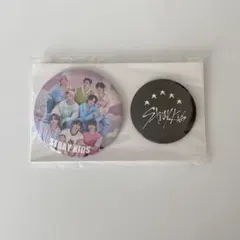 StrayKids 5-star ドームツアー アプグレ特典 缶バッジ