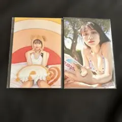 川崎桜 ポストカード