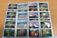 アロマスパークリング屋久島コレクション