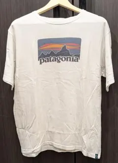 Patagonia organic cotton Tシャツ Мサイズ