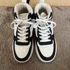 Item thumbnail for item 604c66f7-ddc6-4c5b-b0f6-b192d31e8fe4