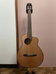 Item thumbnail for item 077532fc-8733-4707-8e1a-65047565dab0