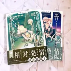 エリートΩは夜に溺れて 2巻セット