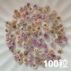 (04)かすみ草ドライフラワー100粒