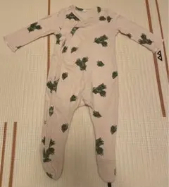 organic zoo / Pine Forest