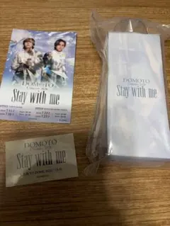 DOMOTO ペンライト Stay with me 2026 - メルカリ