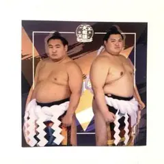 両国限定ステッカー　横綱大の里と横綱豊昇龍