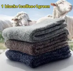 Item thumbnail for item 2971cac9-3125-49cd-b497-86539c9952e6