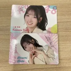 Item thumbnail for item 5e68af9d-1e02-44f0-b524-586302374ab1