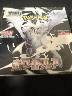 今日中タイムセール　未開封ボックスセット➕おまけ