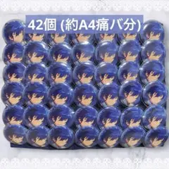 あんさんぶるスターズ 漣ジュン イベコレ缶バッジ コレクション缶バッジ［2024 Jun.］-Idol Side-（BOX