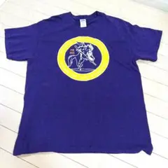 人気ブランド！GILDANギルダン 古着Tシャツお好きな方オススメ紫色（L）