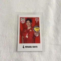 バレーボール男子日本代表　キャラポトレ　宮浦健人選手