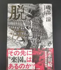脱法