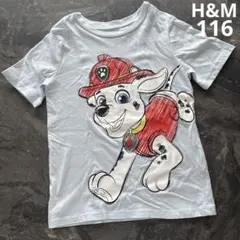 H&M【110-116】半袖Tシャツ/パウパトロール/マーシャルのサムネイル