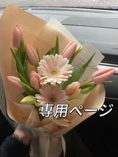 【公式】ベルミスフィット　L-LLサイズ　スモーキーグレー THN正規品ベルミスフィットリムーブレギンスエレガントL-LL スモーキー