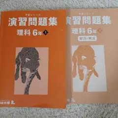 しろうさぎ様 リクエスト 2点 まとめ商品