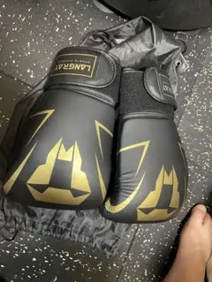 ボクシンググローブ LangRay boxing gloves 16oz