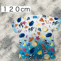 ファインディングニモ ドリー Tシャツ 120㎝のサムネイル