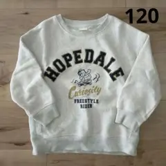 裏起毛 トレーナー 120