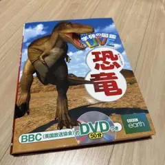 恐竜 LIVE DVDなし