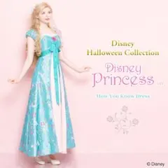 シークレットハニー ジゼル ディズニー 刺繍 髪飾り 美品 魔法にかけ