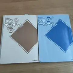 漢文・古文 ヤマのヤマ 2冊セット