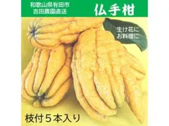あゆっぺぺ様 リクエスト 2点 まとめ商品