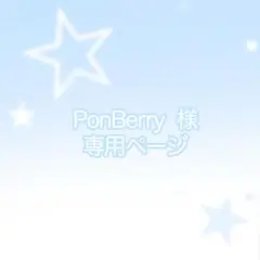 PonBerry 様専用ページ