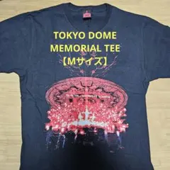 Item thumbnail for item dd05b3a4-ad4a-4a3d-be41-c626af526b0e