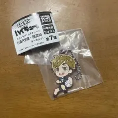 ［匿名配送‼︎］でふぉラバ！ハイキュー‼︎ 宮　侑