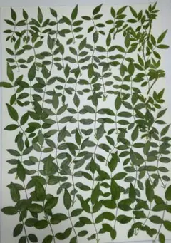 nana様 リクエスト 8点 まとめ商品