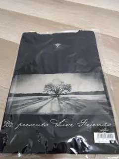 B'z 稲葉浩志　TV出演着用同タイプ　マリリン・モンロー Tシャツ B'z 稲葉浩志 TV出演着用同タイプ マリリン・モンロー Tシャツ
