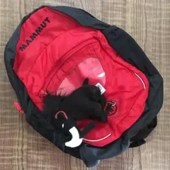 超カワイイ・新品❣️遠足やハイキング・旅行に‼️マムート 8L キッズ用リュック