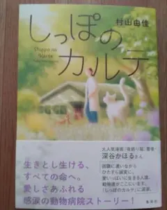 Item thumbnail for item d81a6b66-a584-4c1e-acc4-b0821dd9cbb3