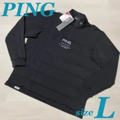 Item thumbnail for item d727d9a3-8875-433f-97d9-b46ac33f0e33