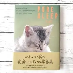 Item thumbnail for item 24369a4e-c5a3-4a88-913e-f1c6001ebcdf