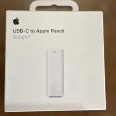 アップルペンシル用アダプター (USB-C/純正品)