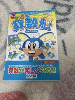 サピックス　2年生　2024年全年度教材とサマーピックス全教材 backend=imagemagick;version=1;