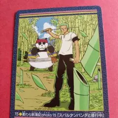 ワンピース トレーディングカード ゾロ