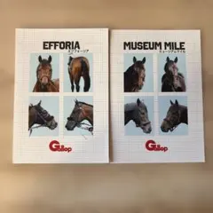 Gallop エフフォーリア　ミュージアムマイル　カード 証明写真
