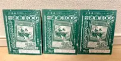 遊戯王OCG ウィッチクラフト・シード 3枚セット