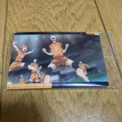 ハイキュー　ウエハース　田中龍之介　日向翔陽　影山飛雄　澤村大地　カード