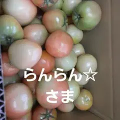 らんらん☆様専用