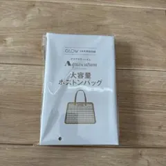 GLOW 3月号特別付録　アクアスキュータム